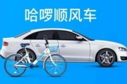 (2分钟科普)厦门咨询公司有哪些_哔哩哔哩-3